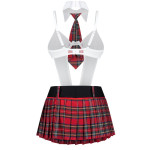 College Girl 5-pcs costume L/XL