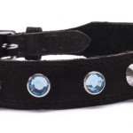 Crystal Collar Light Blue