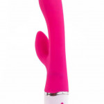 Lovetoy Dreamer Vibrator Rose Red