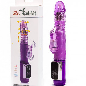 Mr. Rabbit Vibrator Purple