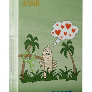 AMOR Wild Dreams / 12 pcs content