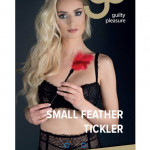 GP Small Feather Tickler Red