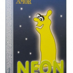 AMOR NEON / 6 pcs content