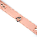 Pink Organosilicon Collar with Leash