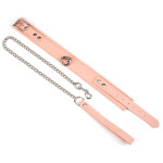 Pink Organosilicon Collar with Leash