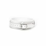 Fuji White Collar with Leash