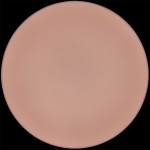 9'' Sliding Skin Pro II Dual Layer Silicone Dong