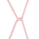 Rebellion Reign Rose Silky Bondage Rope Rebellion Reign Rose Silky Bondage Rope
