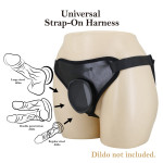 Pretty Love Claudio I Harness Briefs