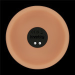 10'' Vibrating Power Basics Cock