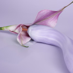 Margot Lilac Swirl